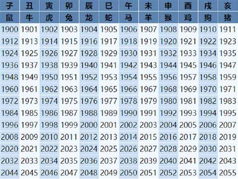 属马2023年几岁|2023年属马的几岁年龄对照表